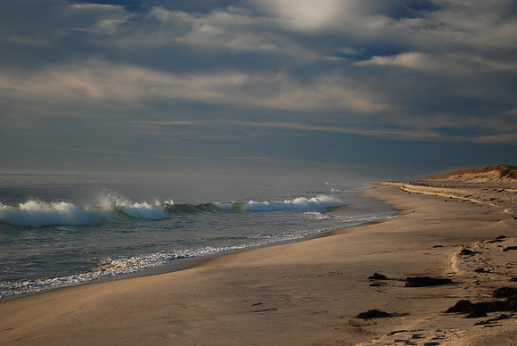 Cape Cod Perfection