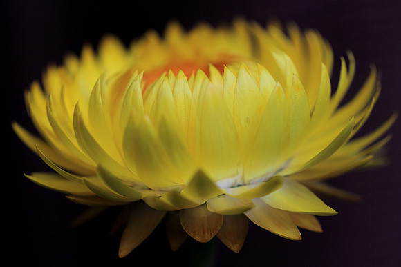 Inner Glow