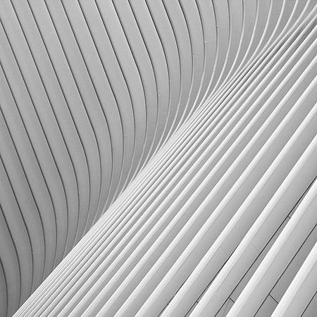 Oculus 1