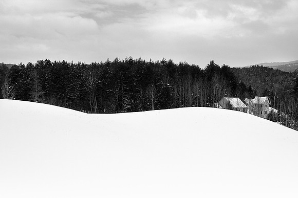 Black Forest 2