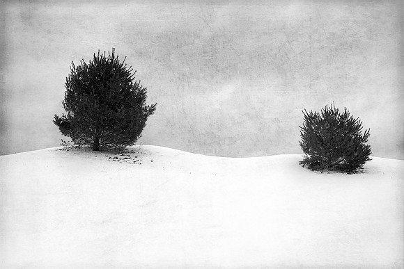 Sentinels 1