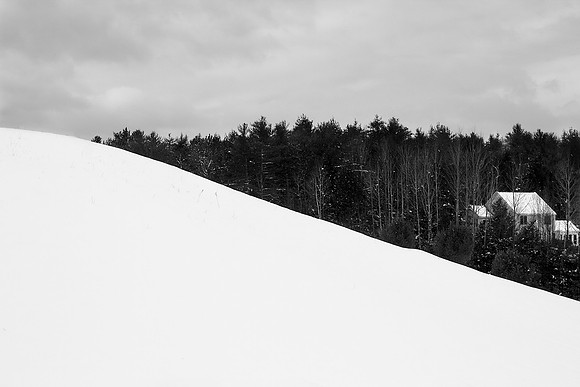 Black Forest 1