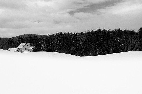 Black Forest 3