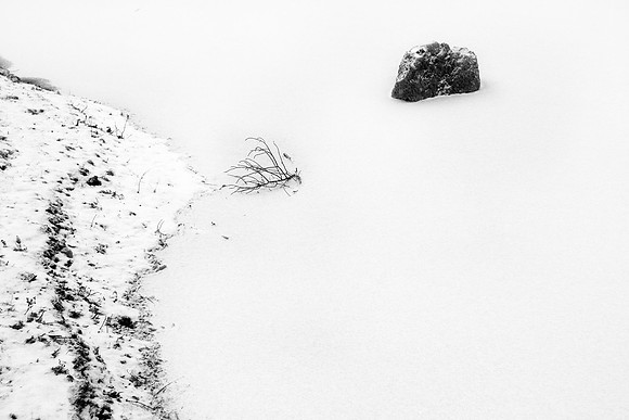 Rock Garden